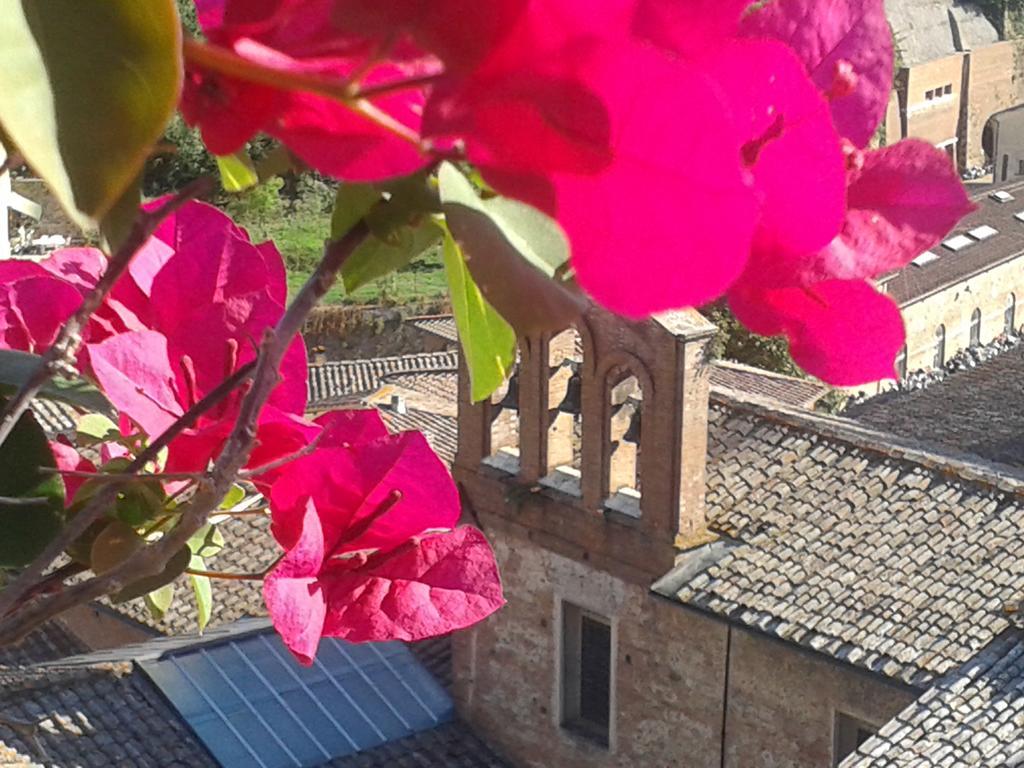 Bed and Breakfast Residenza D'Epoca Campo Regio Relais Siena Exteriér fotografie